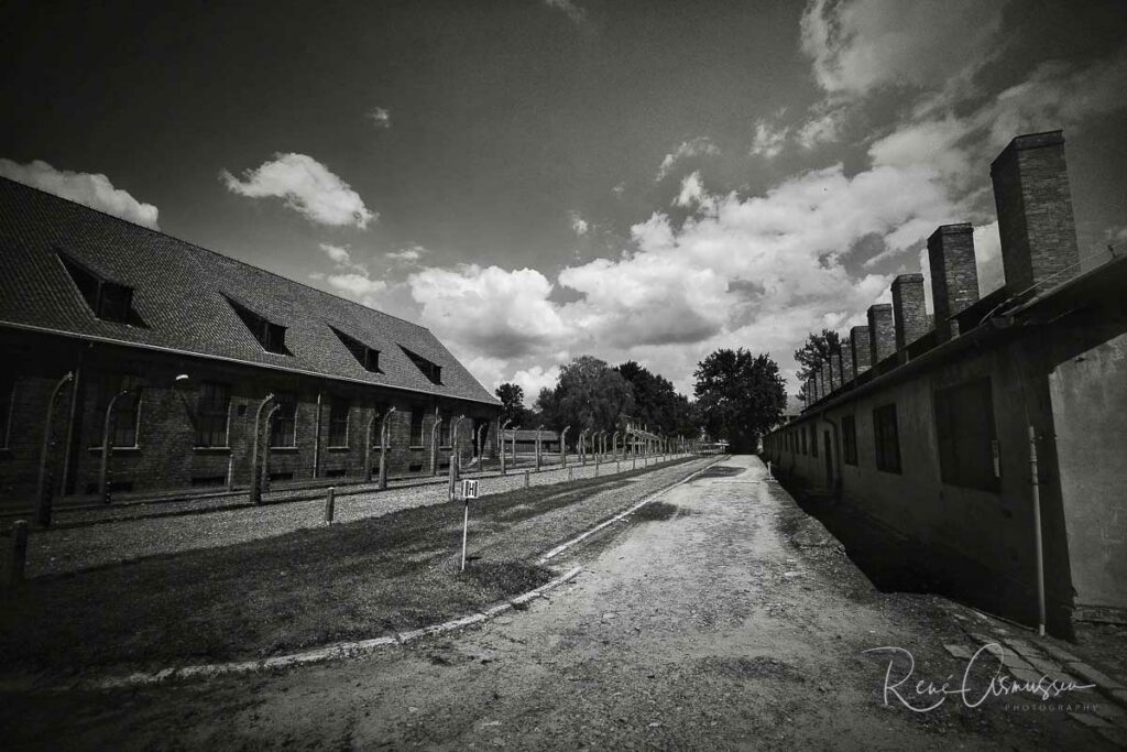 Sonderkommandoet i Auschwitz – dødsfabrikkens arbejdsmænd