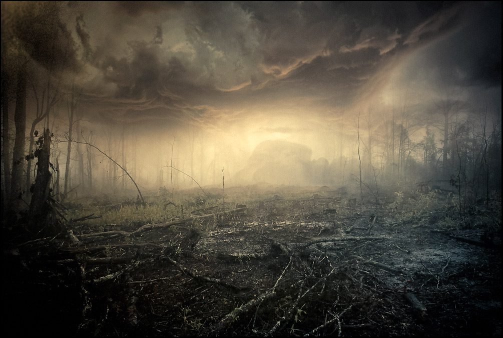Dark-LandscapeDENNE_asmussen